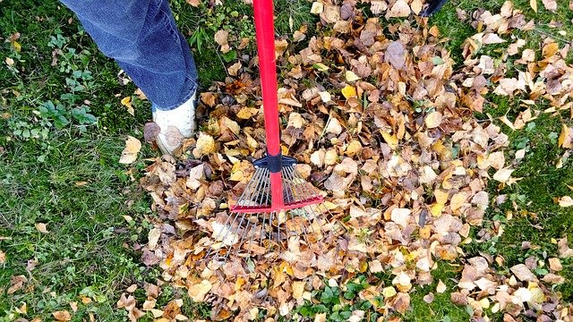 Lawn care is crucial for your San Diego home Fall maintenance